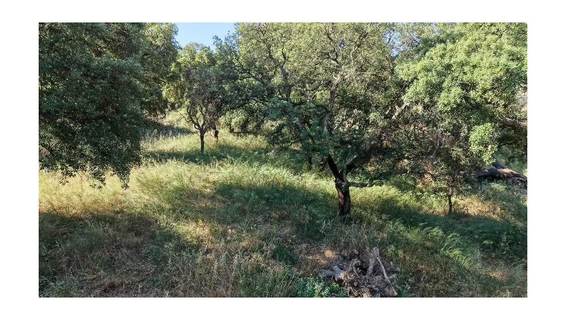 Vasta tenuta agricola di 4,6 ettari a Torpoghespe, foto 4