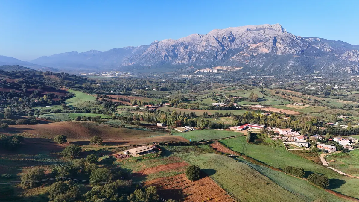Terreno agricolo con struttura da completare a Siniscola, foto 3