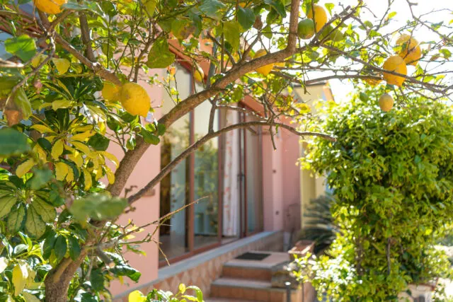 Home Lemon - Appartamento con giardino a San Teodoro, foto 2