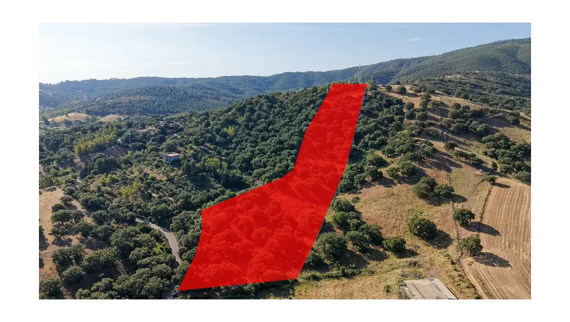 Vasta tenuta agricola di 4,6 ettari a Torpoghespe, foto 1